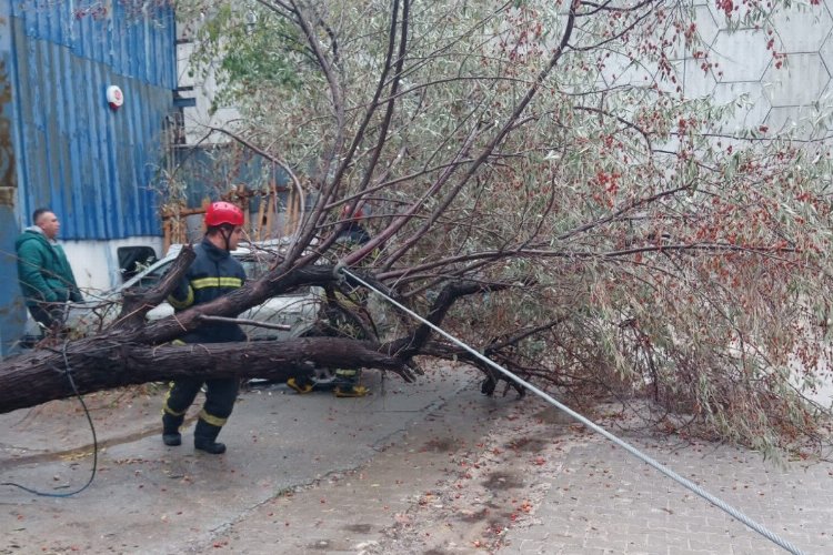 MASKİ sağanak yağış boyunca sahadaydı -