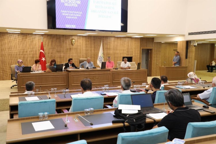 Mega projeler Ordu'yu uçuracak -