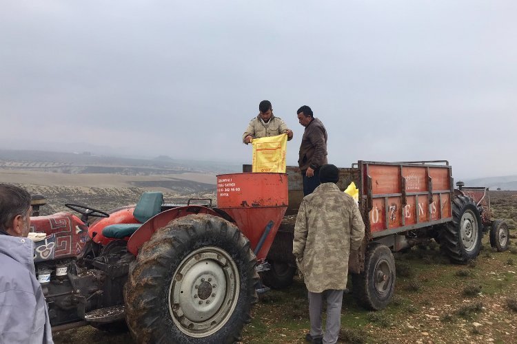Meralarda gübreleme uygulaması yapıldı -