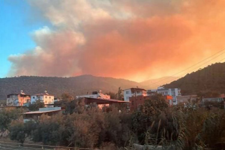 Mersin'de orman yangınına müdahale sürüyor -
