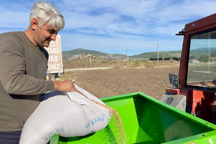 Milas'ta ata tohumları toprakla buluştu -