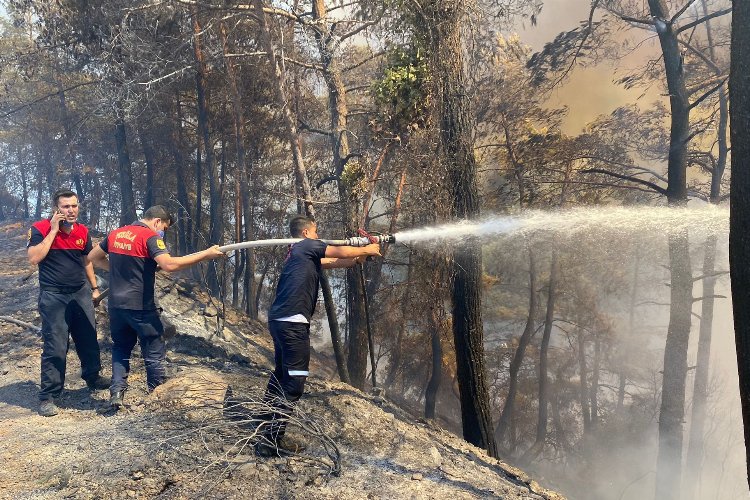 Muğla Büyükşehir, Marmaris yangınına seferber oldu -