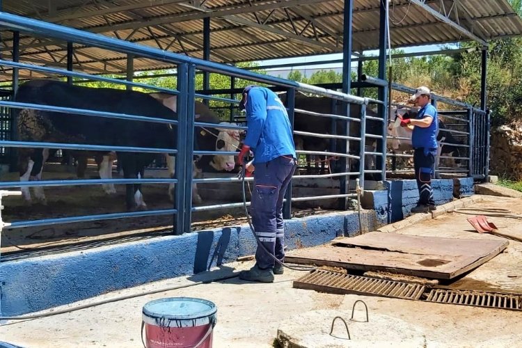 Muğla'da Büyükşehir tüm birimleri ile bayrama hazır -