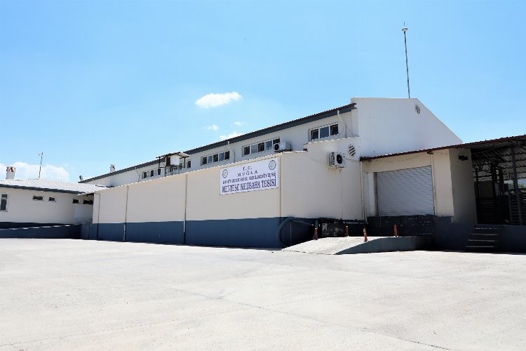 Muğla'da modern mezbahalar hizmet veriyor -