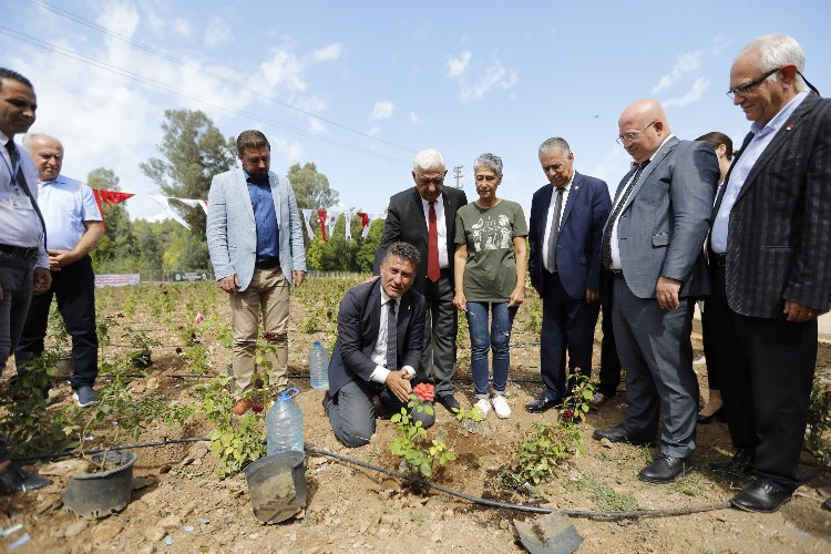 Muğla'da 'tıbbi bitkiler' bahçesi hizmete açıldı -