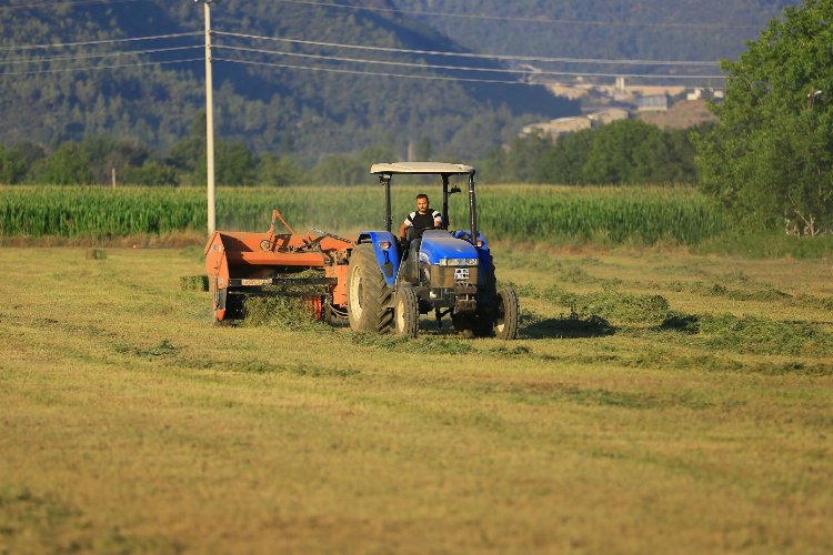 Muğla'da üreticiye ücretsiz hayvan yemi -