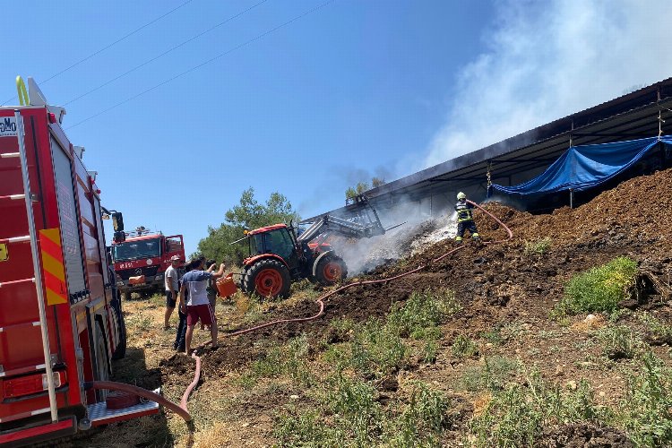 Muğla'da yangından etkilenen hayvanlara müdahale -