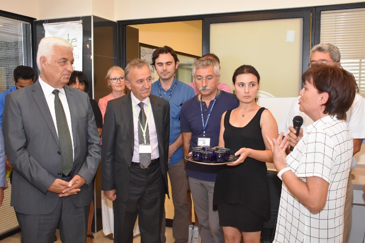 Muğla'da zeytinyağı tadımları yeniden başlıyor -
