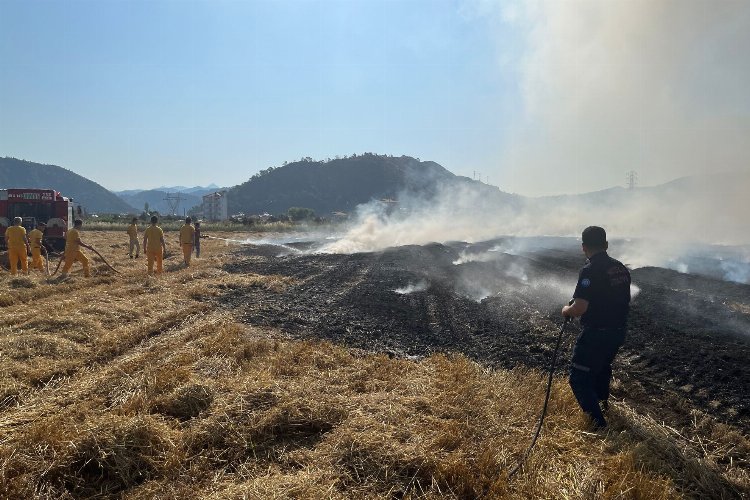 Muğla'dan anız yangınlarına karşı uyarı -