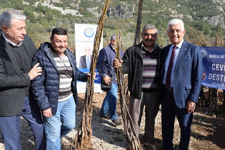 Muğla'dan tarımsal desteklerin dağıtımına başlıyor -