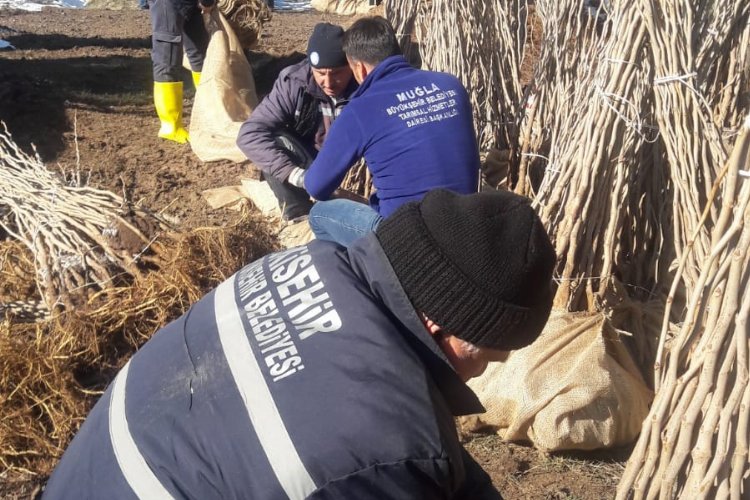 Muğla kozadan destek çıkarıyor -