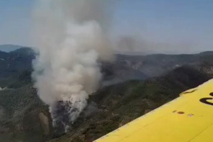 Muğla Marmaris'teki orman yangını sürüyor -