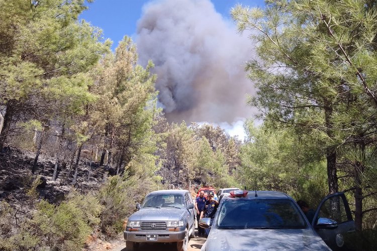 Muğla Marmaris'teki yangında soğutma çalışmaları sürüyor -