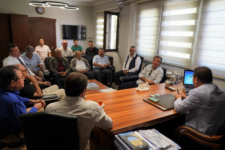 Muğla Milas bu yıl zeytin hasadına 'aşk'la yola çıkıyor -