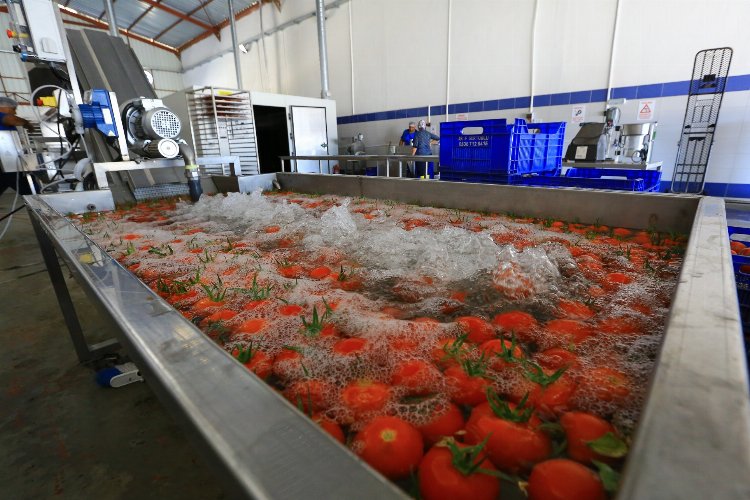Muğla’nın ürünlerine değer katıyor -