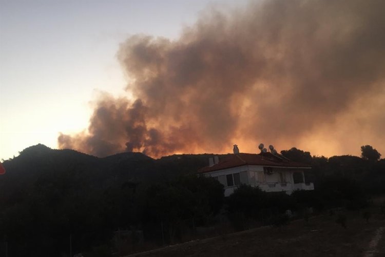 Muğla Ula'daki yangında 50 hektar ormanlık alan zarar gördü -