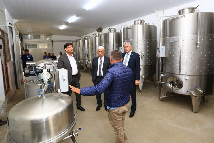 Muğla'ya üzüm suyu, sirke, pekmez ve şarap üretim tesisi -