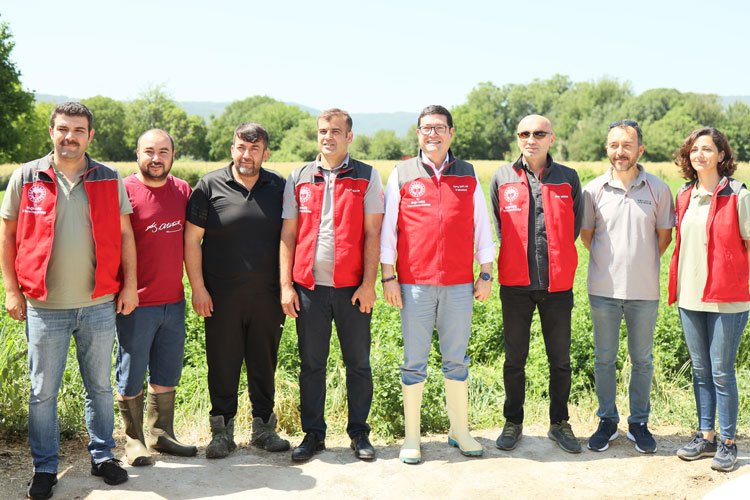 Muğla buzağılarına sahip çıkıyor -