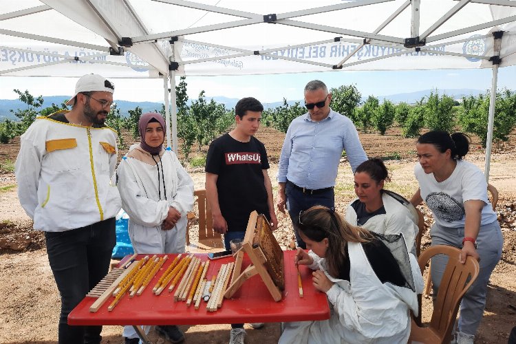 Muğla Büyükşehir’den, Dünya Arı Günü’nde farkındalık etkinlikleri -