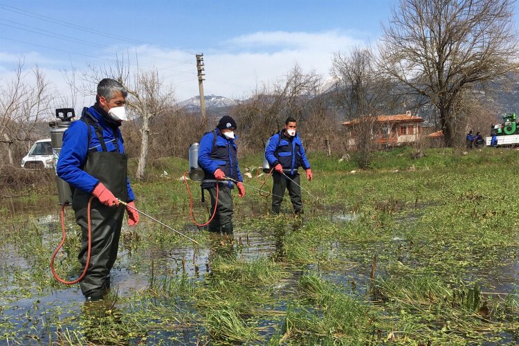 Muğla Büyükşehir’den Karabağlar Yaylası’nda vektörle mücadele -