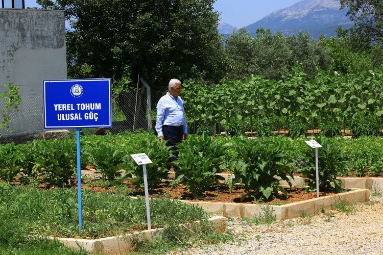Muğla Büyükşehir’den köy enstitüleri için anlamlı etkinlik -