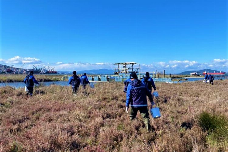 Muğla Büyükşehir’den Milas’ta vektörle mücadele -
