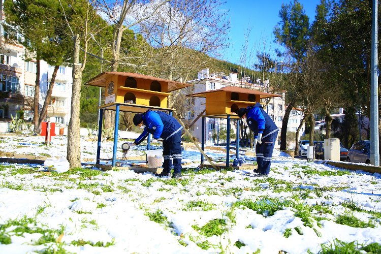 Muğla Büyükşehir, sokak hayvanlarının yanında -