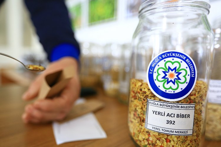 Muğla Büyükşehir tohum dağıtımına 1 Şubat’ta başlıyor -