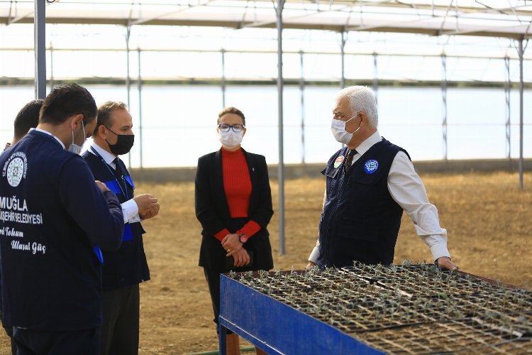 Muğla Büyükşehir yağmur hasadıyla yılda 300 ton su tasarrufu sağlıyor -