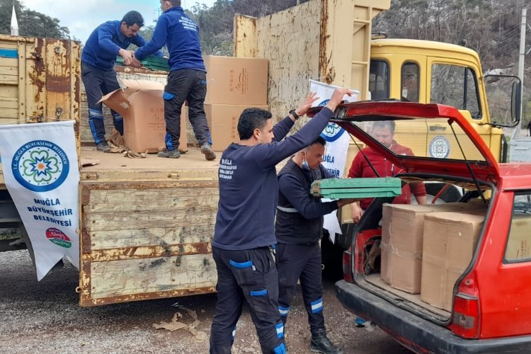Muğla Büyükşehir, yangın mağduru arıcılara desteğini sürdürüyor -