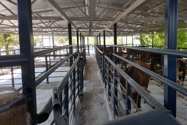 Muğla'da hijyenik koşullarda et hizmeti -
