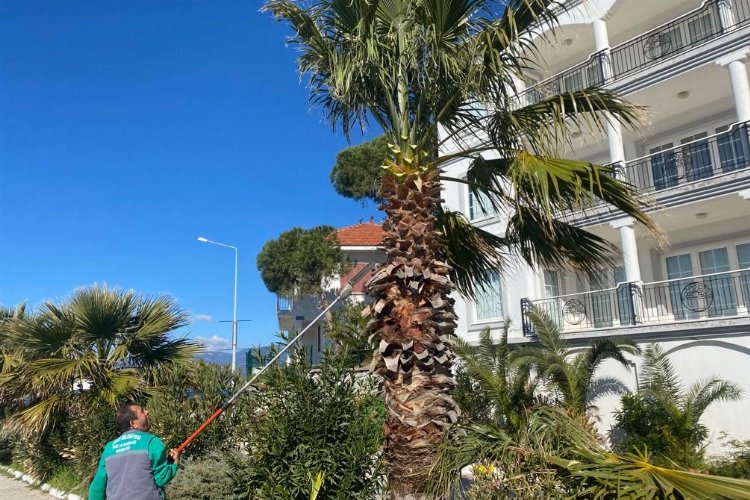 Muğla Milas Belediyesi Boğaziçi, Güllük ve Kırcağız'da çalışmalarına devam ediyor -