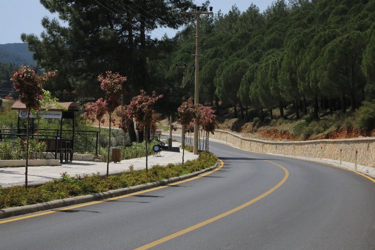 Muğla Ula’da ağaçlandırma çalışmaları tamamlandı -