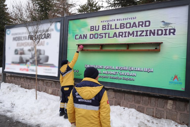 Nevşehir Belediyesi can dostları unutmadı -