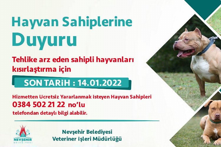 Nevşehir'de yasaklı ırk köpekler ücretsiz kısırlaştırılacak -