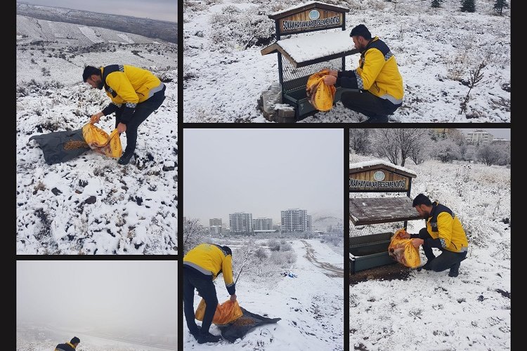 Nevşehir Belediyesi'nden can dostlara yakın ilgi -