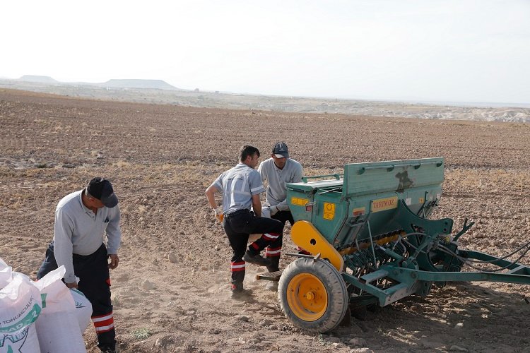Nevşehir Belediyesi'nden yerli tohum ekimi -