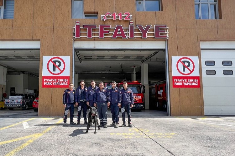 Nevşehir itfaiyesi kurtardıkları sokak köpeğini sahiplendi -