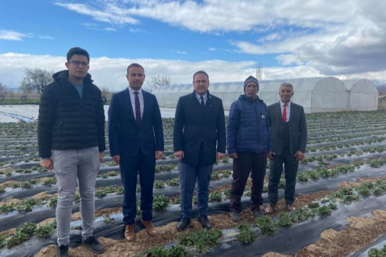 Niğde Altunhisar seraları incelemeye alındı -