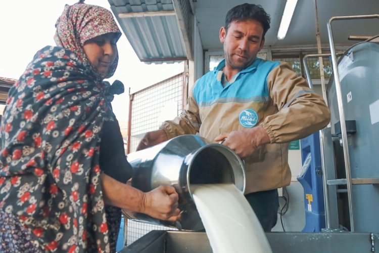 Örgütlü süt üreticisi “tescil ödemesi” kamburundan kurtarılmalı! -