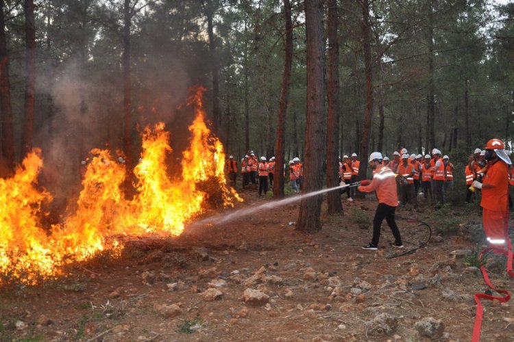Orman'dan 4 ilde eş zamanlı tatbikat -