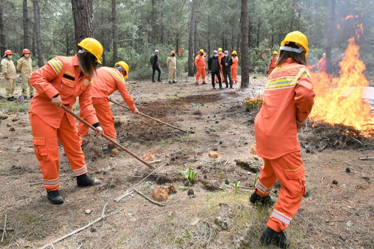 Orman yangınları yüzde 90 insan kaynaklı! -
