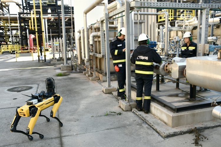 Otonom robotlar sahada deneniyor -