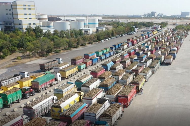 Pancar üreticilerinin beklediği haber geldi... 3,5 milyar lira hesaplara aktarılıyor -