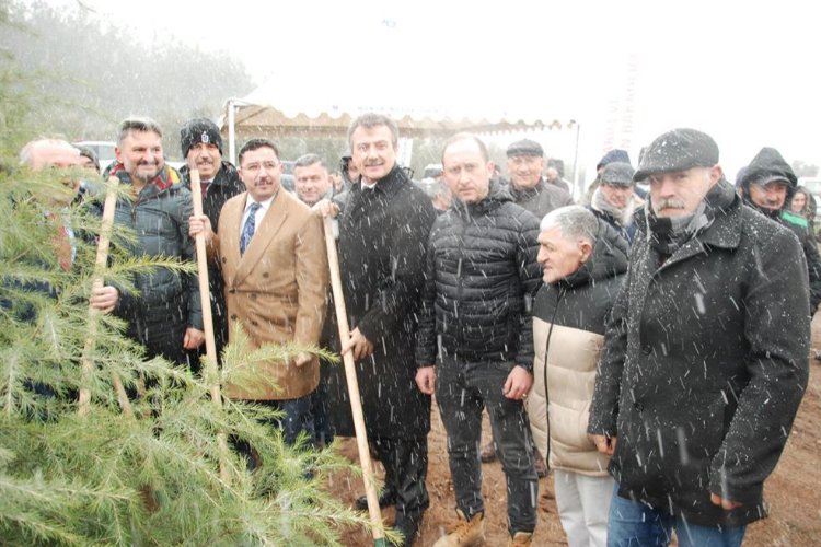 Paris Trabzonlular'dan 'Eren Bülbül' anısına Bursa'da hatıra ormanı -