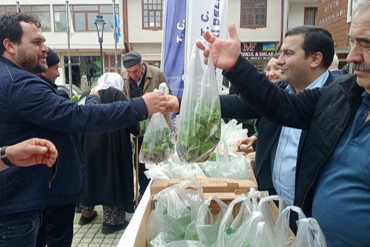 Pazaryeri Belediyesi'nden çiftçilere ücretsiz fide desteği -