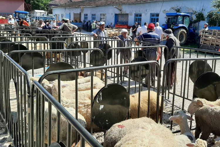 Pazaryeri’nde kurban satış yerine denetleme -