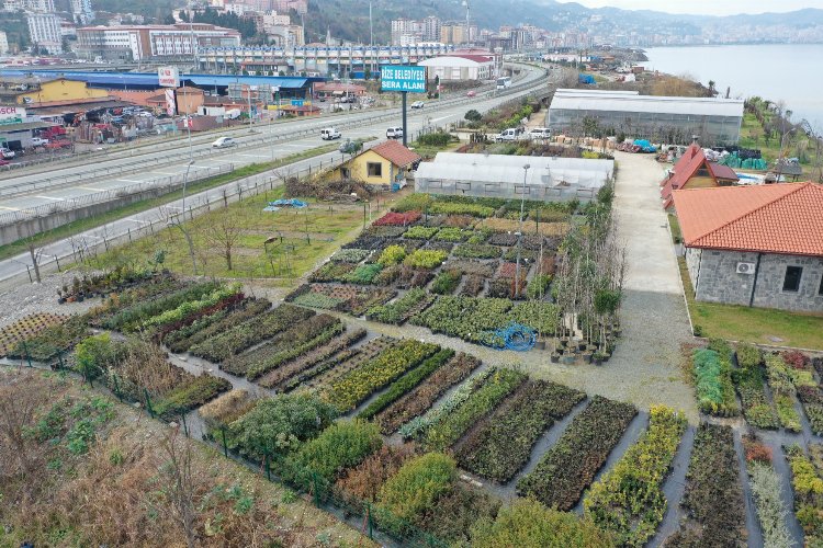 Rize'de 300 bitki türü üretiliyor -