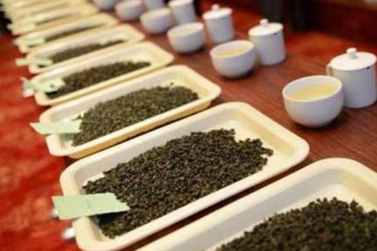 Rize'de çay üreticilerine 'butik' eğitim -