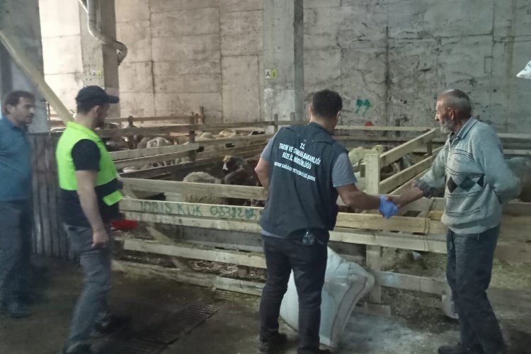 Rize'de kurban yerlerinde dezenfeksiyon -